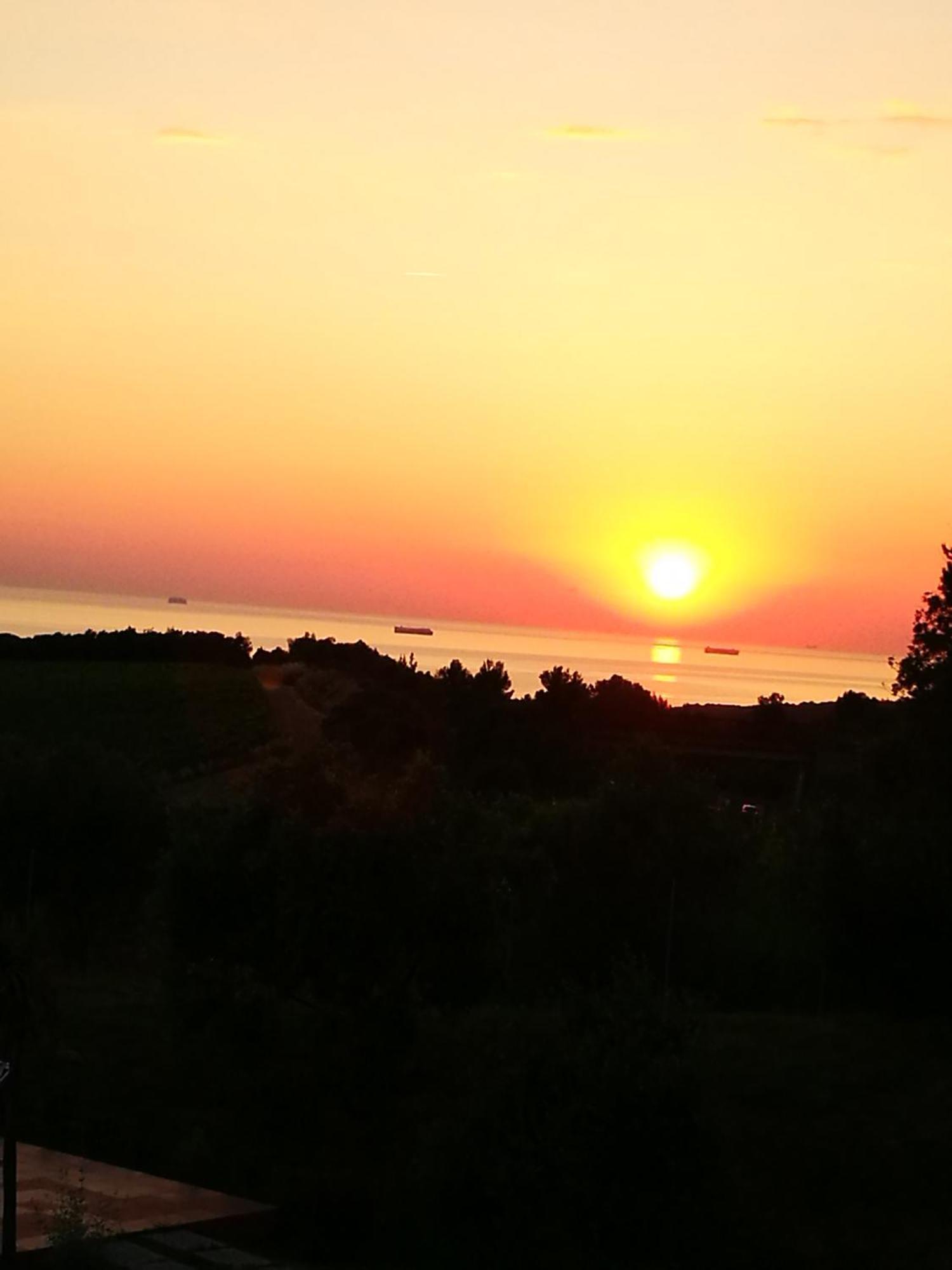 Suite Eleven Castiglioncello Exteriör bild